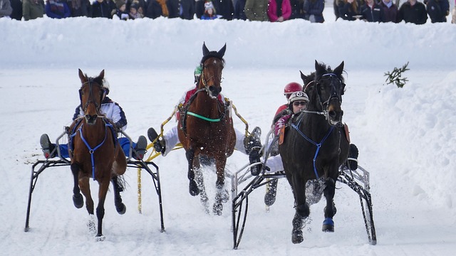 而快船队则 而快船队则