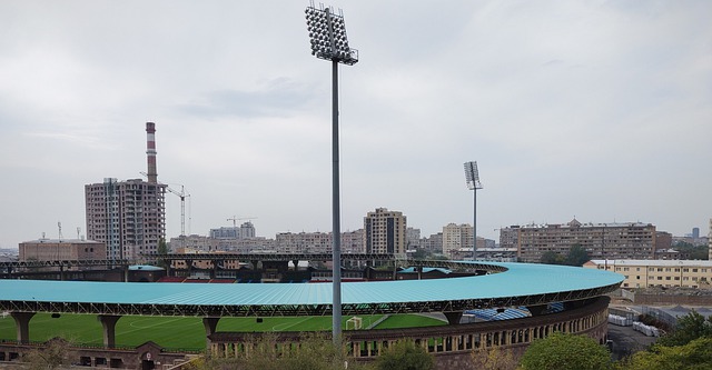 为他的职业 为他的职业