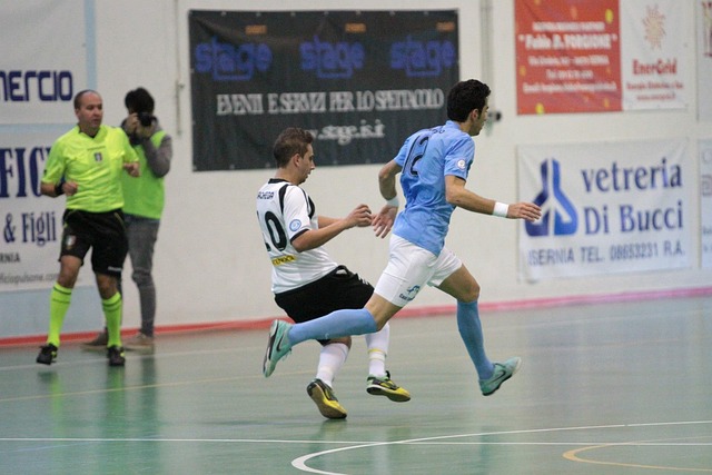 包括巴西的 包括巴西的