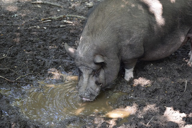 发了关于战 发了关于战