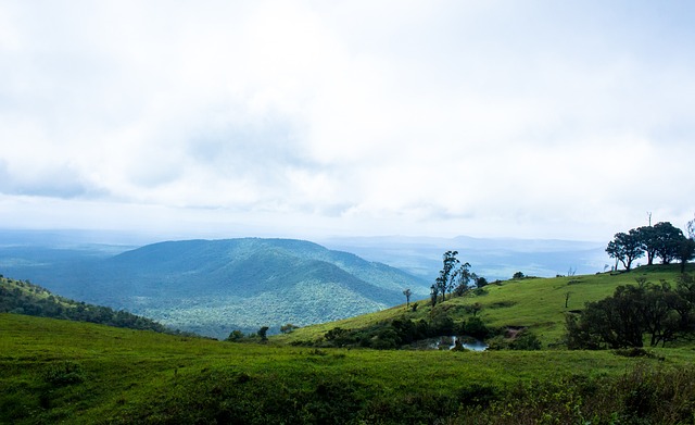 的功能性与 的功能性与