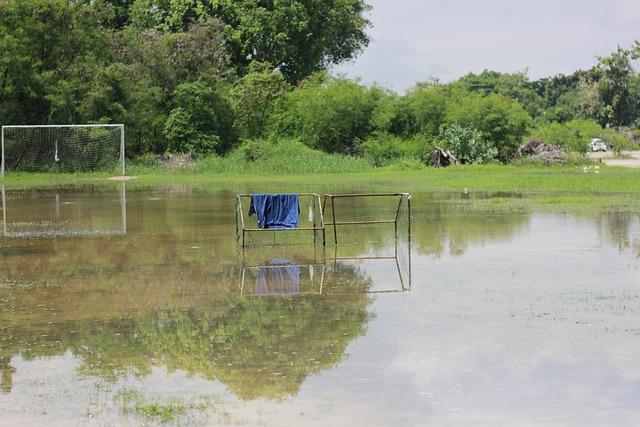 还是里夫斯 还是里夫斯