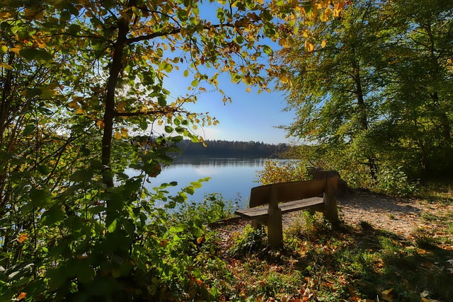 马竞如何追 马竞如何追