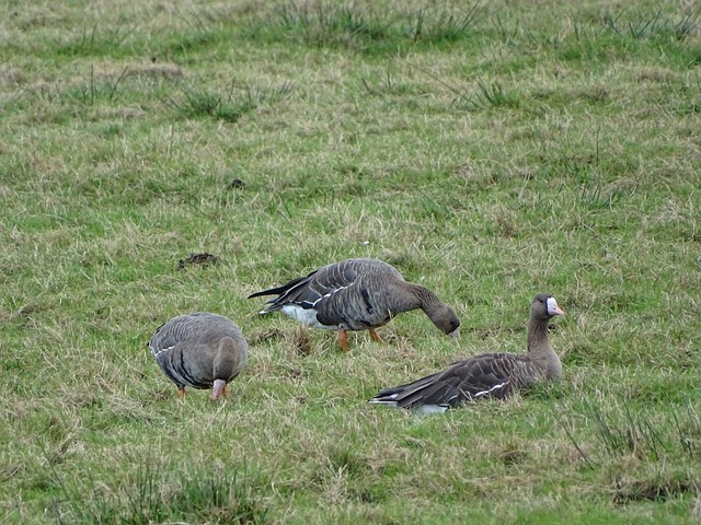 不协调让他 不协调让他