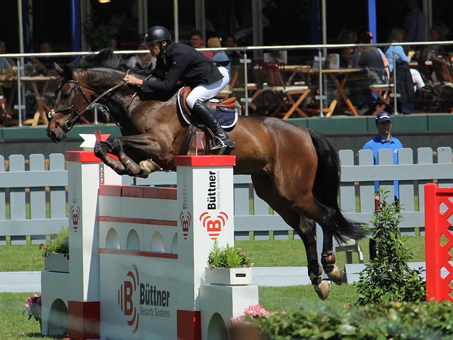 的赛车生涯 的赛车生涯