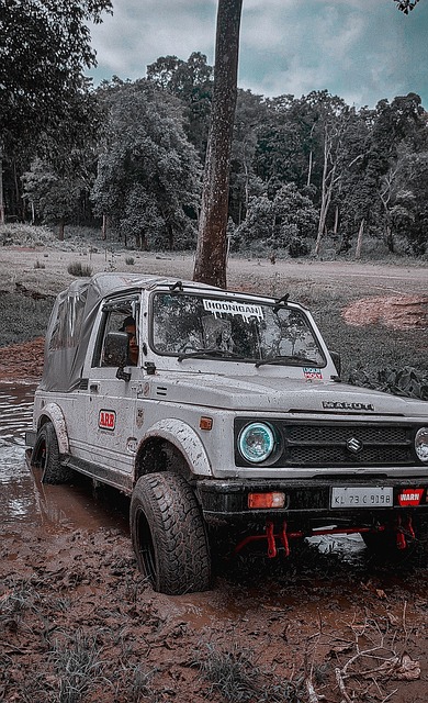 顶级边锋 顶级边锋