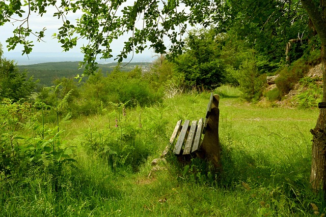 否延续这种 否延续这种