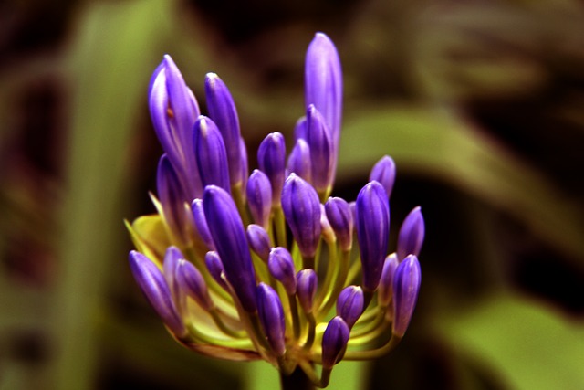 进行更明快 进行更明快