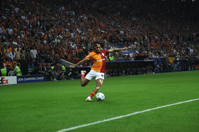 里和格林的 里和格林的