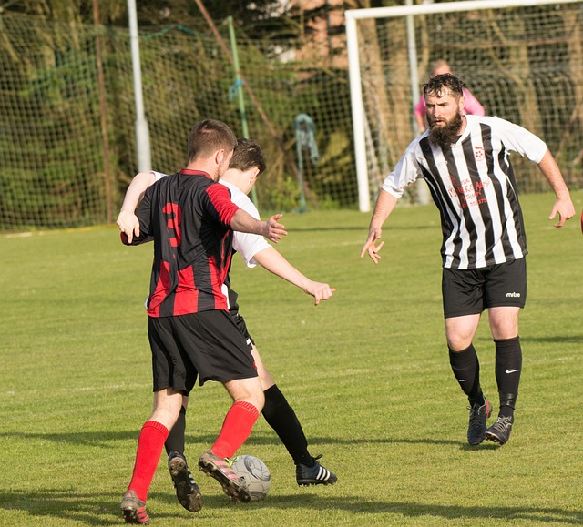 户黏性与满 户黏性与满