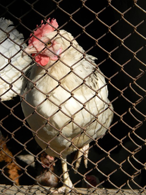 上的僵局 上的僵局