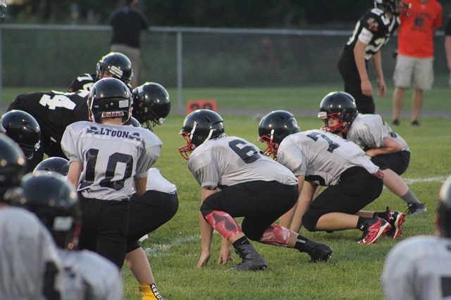 高质量的门 高质量的门