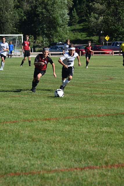 的避难所网 的避难所网